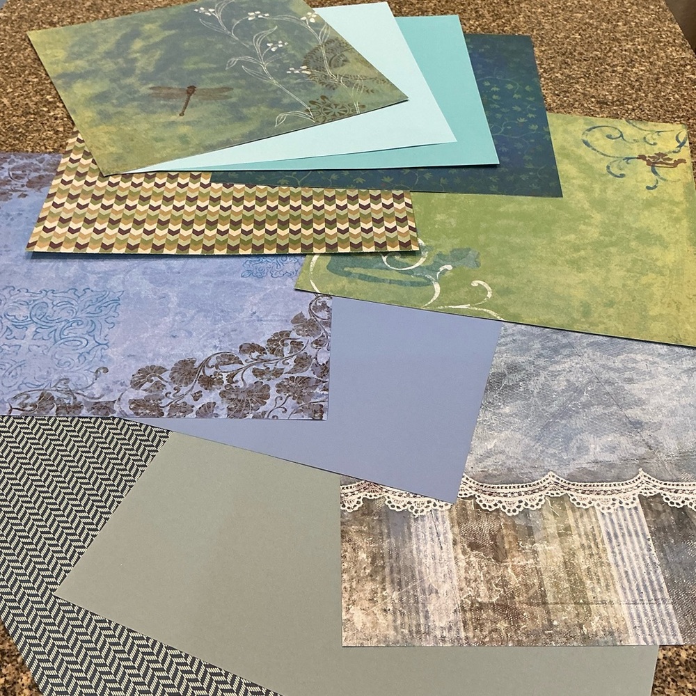 Dragonflies Loose Scrapbook Paper Bundle